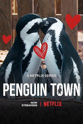 Город пингвинов