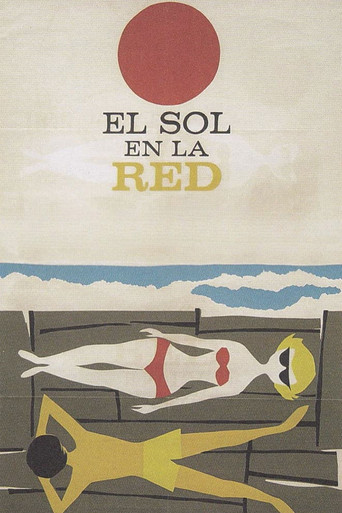 Солнце в сети