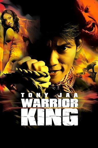 Честь дракона