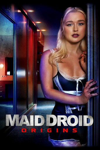 Робо-горничная. Начало