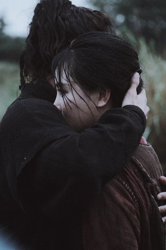 Синь Цицзи, 1162 год