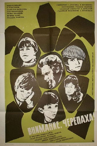 Внимание, черепаха!