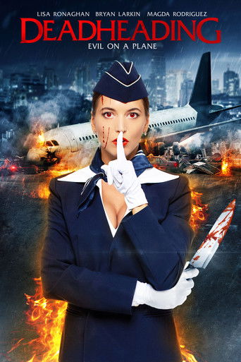 Обратный рейс