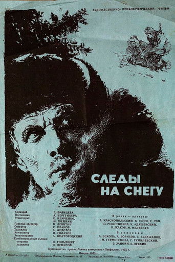 Следы на снегу