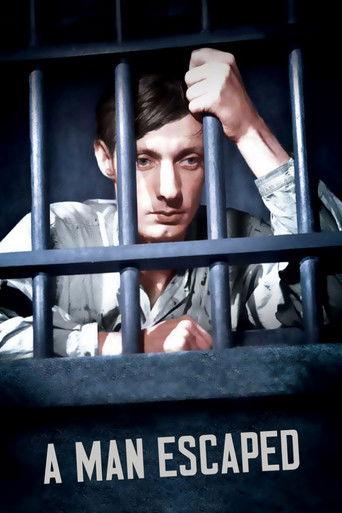 Приговоренный к смерти бежал, или Дух веет, где хочет