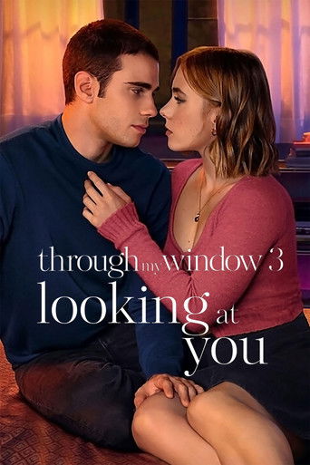 Из моего окна 3: Новая встреча