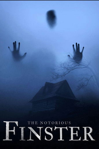 Знаменитый Финстер