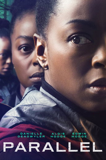 Ошибка времени. Мультивселенная